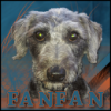 Benutzeravatar